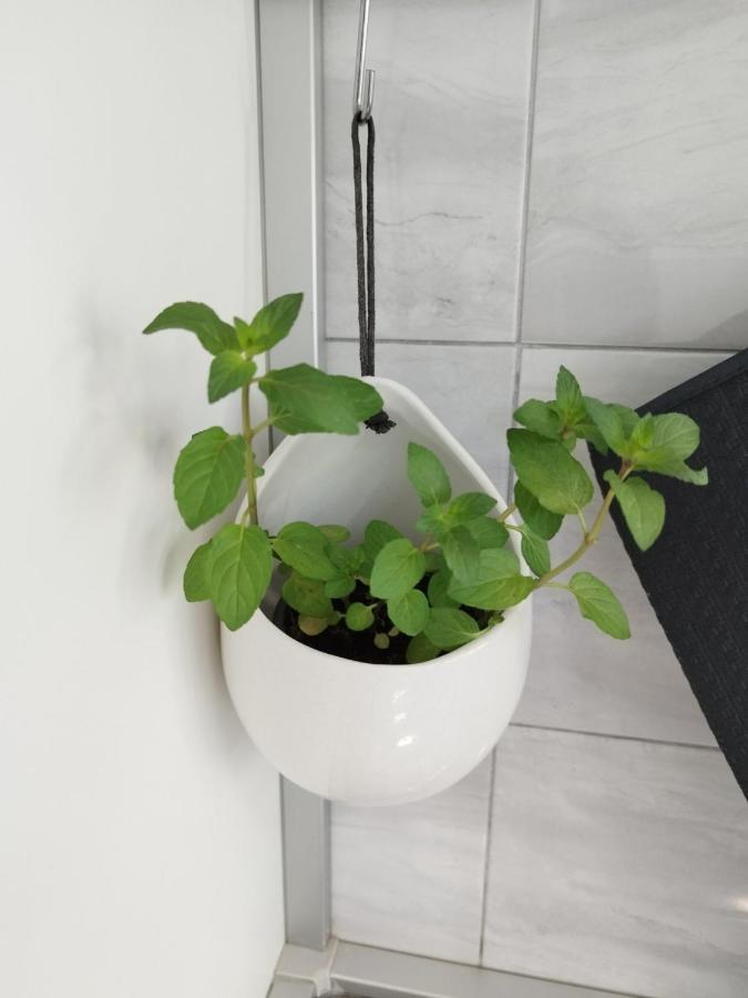 Antemma Apartment Пула Екстериор снимка
